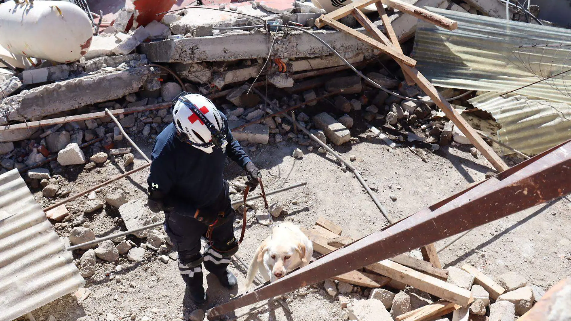 Escuadrón de rescate canino que labora en operativo de la colonia Amor 